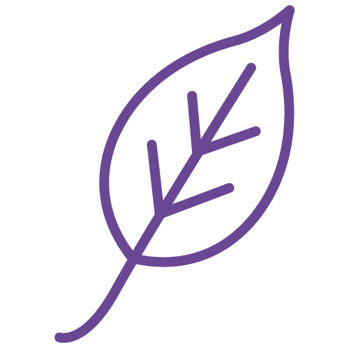 City of Toowoomba Eisteddfod inc.