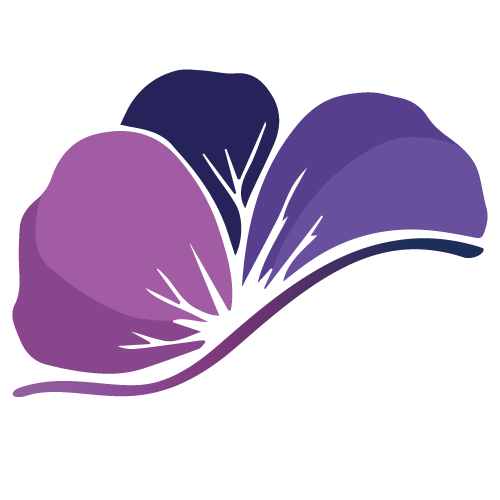 City of Toowoomba Eisteddfod inc.