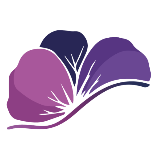 City of Toowoomba Eisteddfod inc.